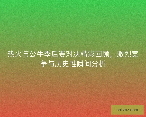 热火与公牛季后赛对决精彩回顾，激烈竞争与历史性瞬间分析